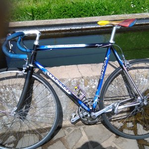 colnago bitubo