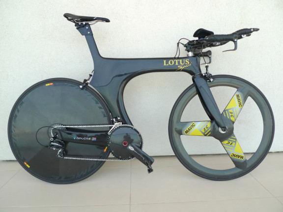 Lotus_110