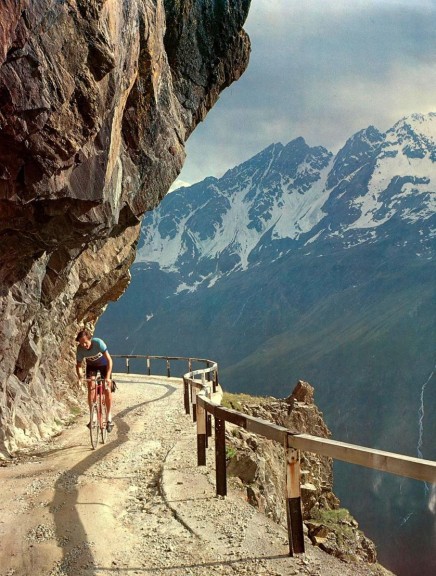 gavia-4-best