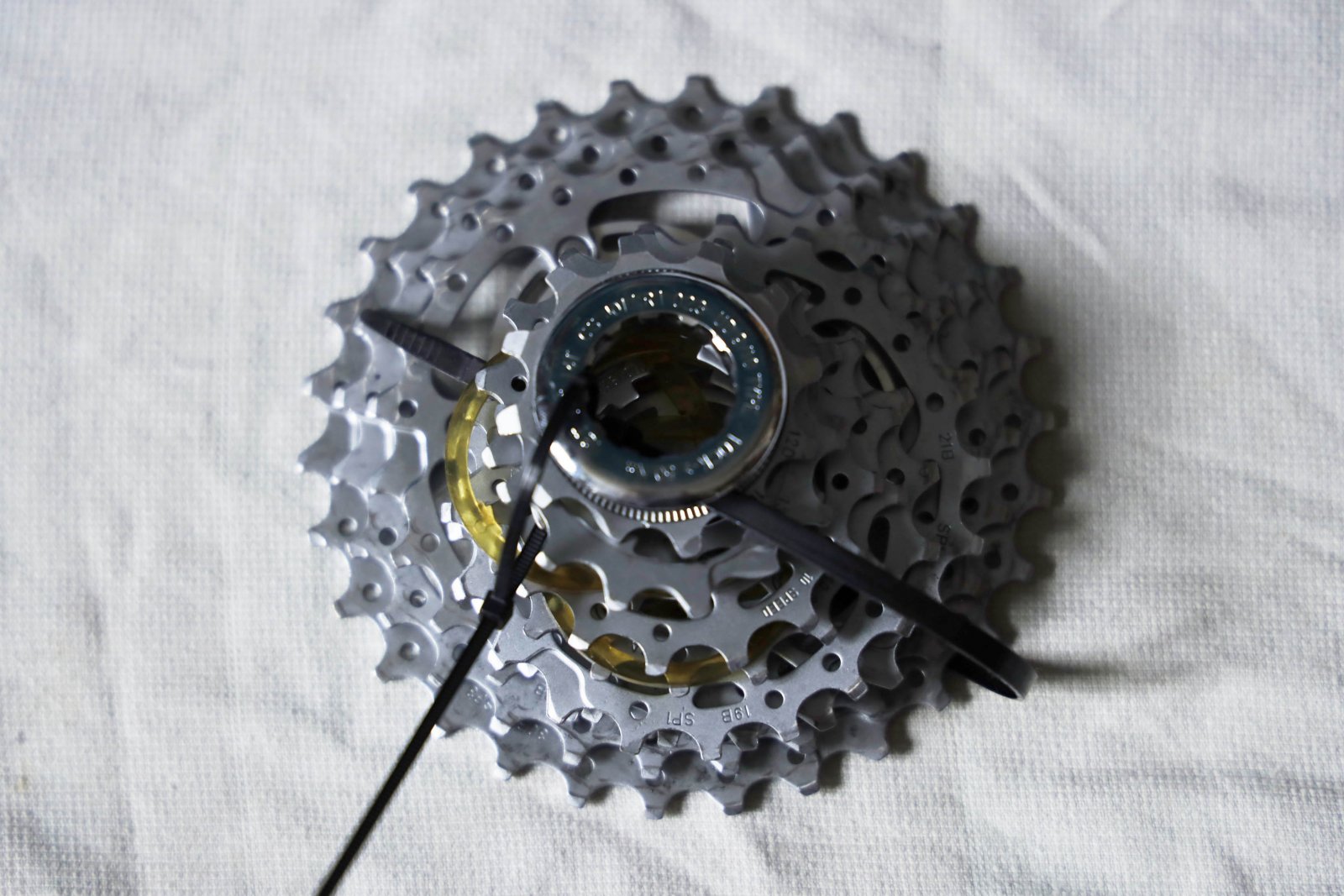 _OSR2681.JPG