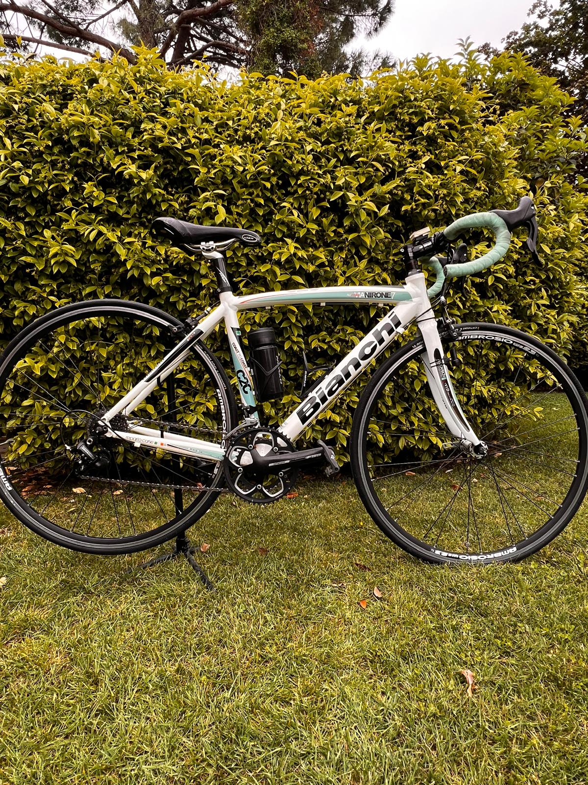 Bianchi 1.jpeg