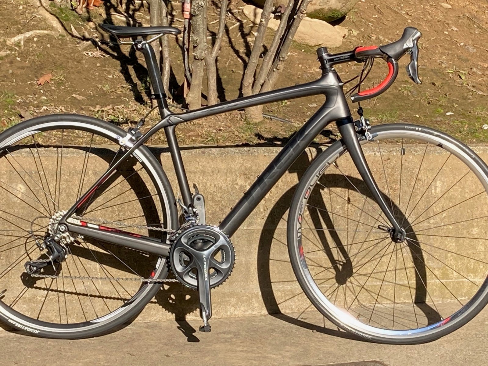 DOMANE.jpg