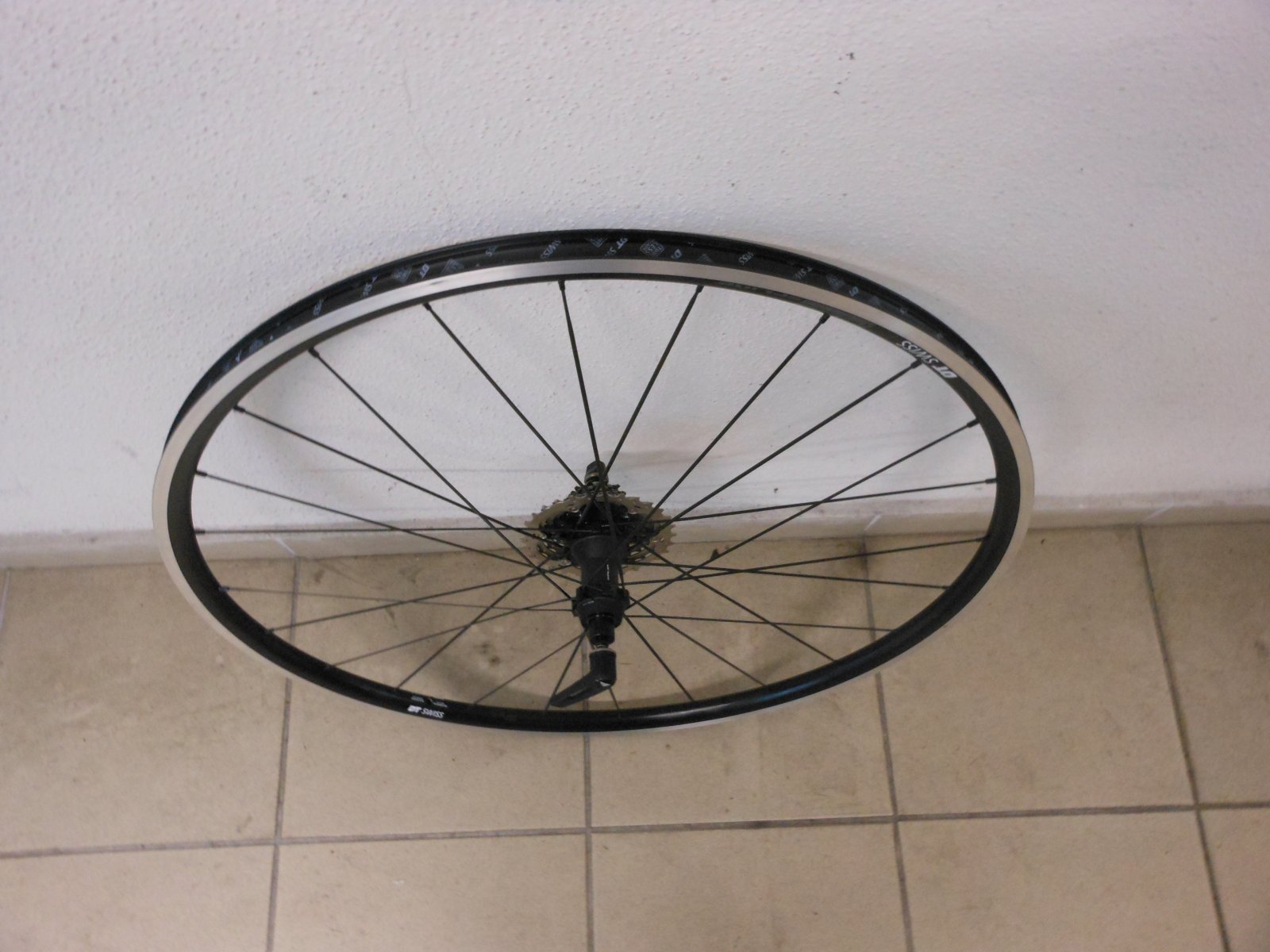 DSCN6589.JPG