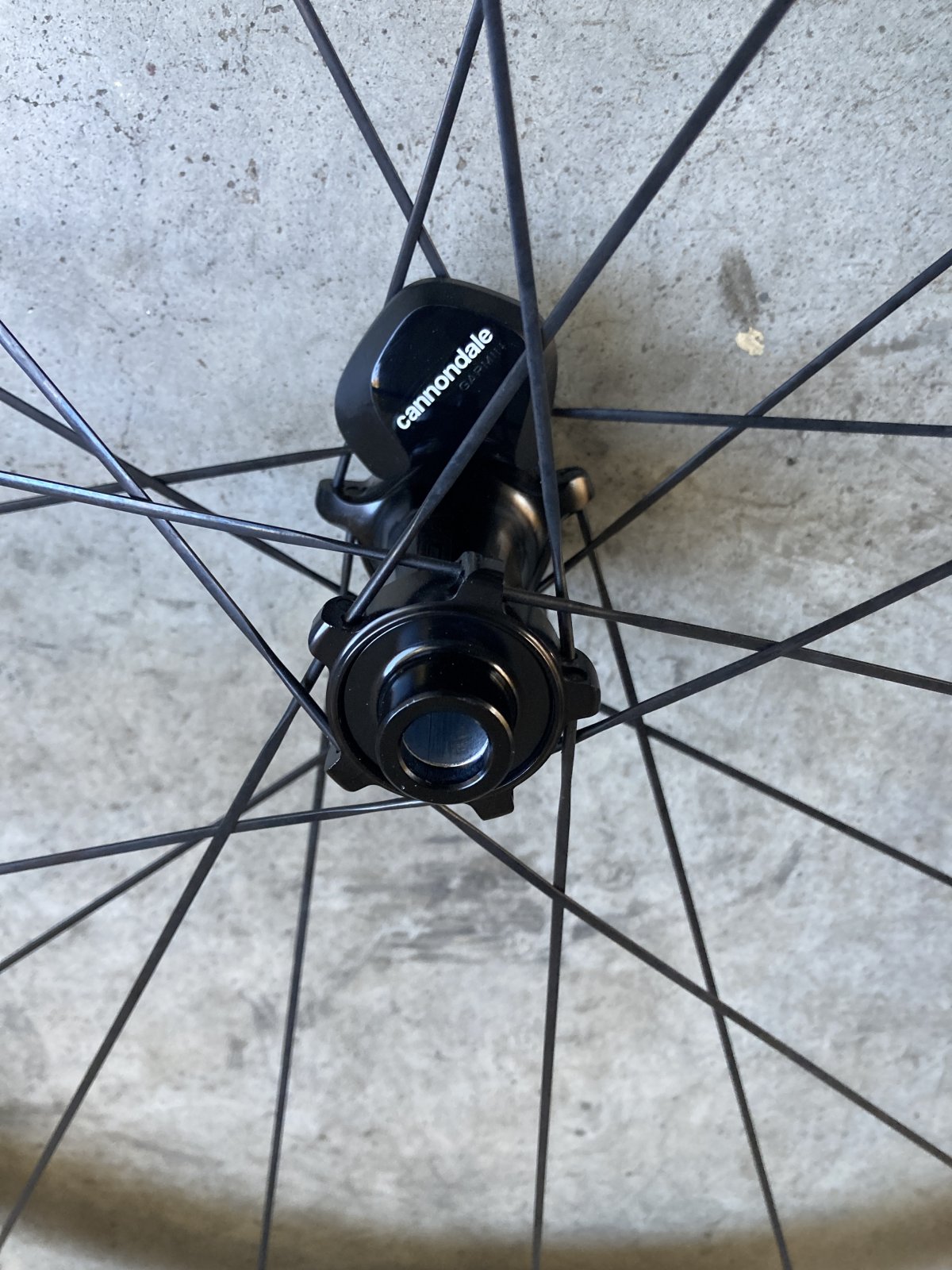 Hollowgram RSL 50 2023 | BDC MAG