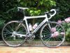 BICIPIPPO (Small).JPG