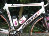 BICIPIPPO (4) (Small).JPG