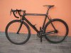 storck.jpg