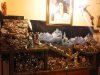 20131206_195730.jpg