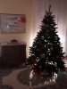 20141208_133635.jpg