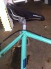 bianchi 3.jpg