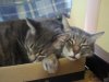 20131203_164323.jpg