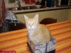20131205_174026.jpg