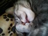 20131213_141025.jpg