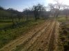 IMG-20141225-01237.jpg