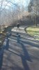 20150101_114619_resized.jpg