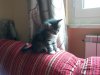 20130714_091913.jpg