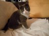 DSCN2457.jpg