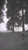 WP_20150207_14_21_37_Pro.jpg