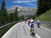 user5834_pic35581_1309737920[1].jpg