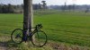 Emonda13.jpg
