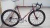daccordi lightweight.jpg