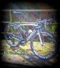 sworks.jpg