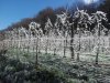 20150406_105216.jpg 20150406_105216.jpg