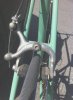 bianchi8.jpg