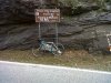IMG-20150531-00202.jpg