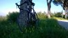 WP_20150504_001.jpg