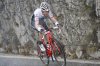 mollema.jpg