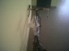 IMG00090-20120504-1449.jpg