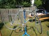 DSCN5758.jpg