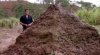 jurassic-poo.jpg