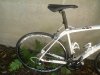 4 Domane 5 2.jpg