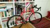 Emonda_1 - Copia.JPG