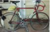 Colnago Sport.jpg