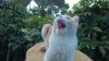 WP_20150817_011.jpg
