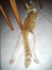 20110110_121655.jpg