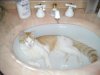 20110126_233019.jpg