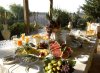 Colazione di frutta.jpg