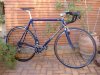 tommasini_new_1.jpg