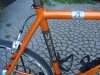 DSC01938.jpg