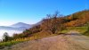 WP_20151111_15_07_01_Pro.jpg