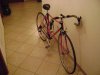 DSC02570.jpg