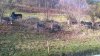 WP_20151120_001.jpg
