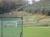 IMG_4755.jpeg