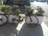 20151129_104102.jpg