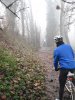 nella nebbia della bassa 13.jpg