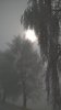 WP_20160104_11_06_12_Pro.jpg